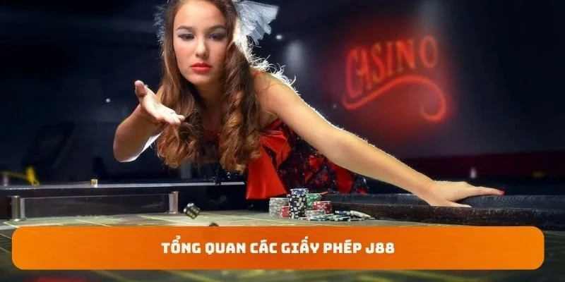 Tổng quan các giấy phép J88